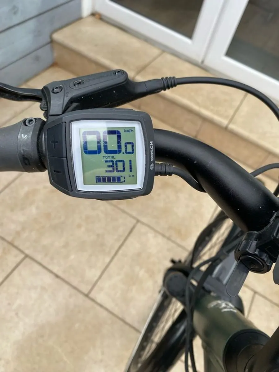 Raleigh Motus Low Step 21.12 E-bike - Image 4