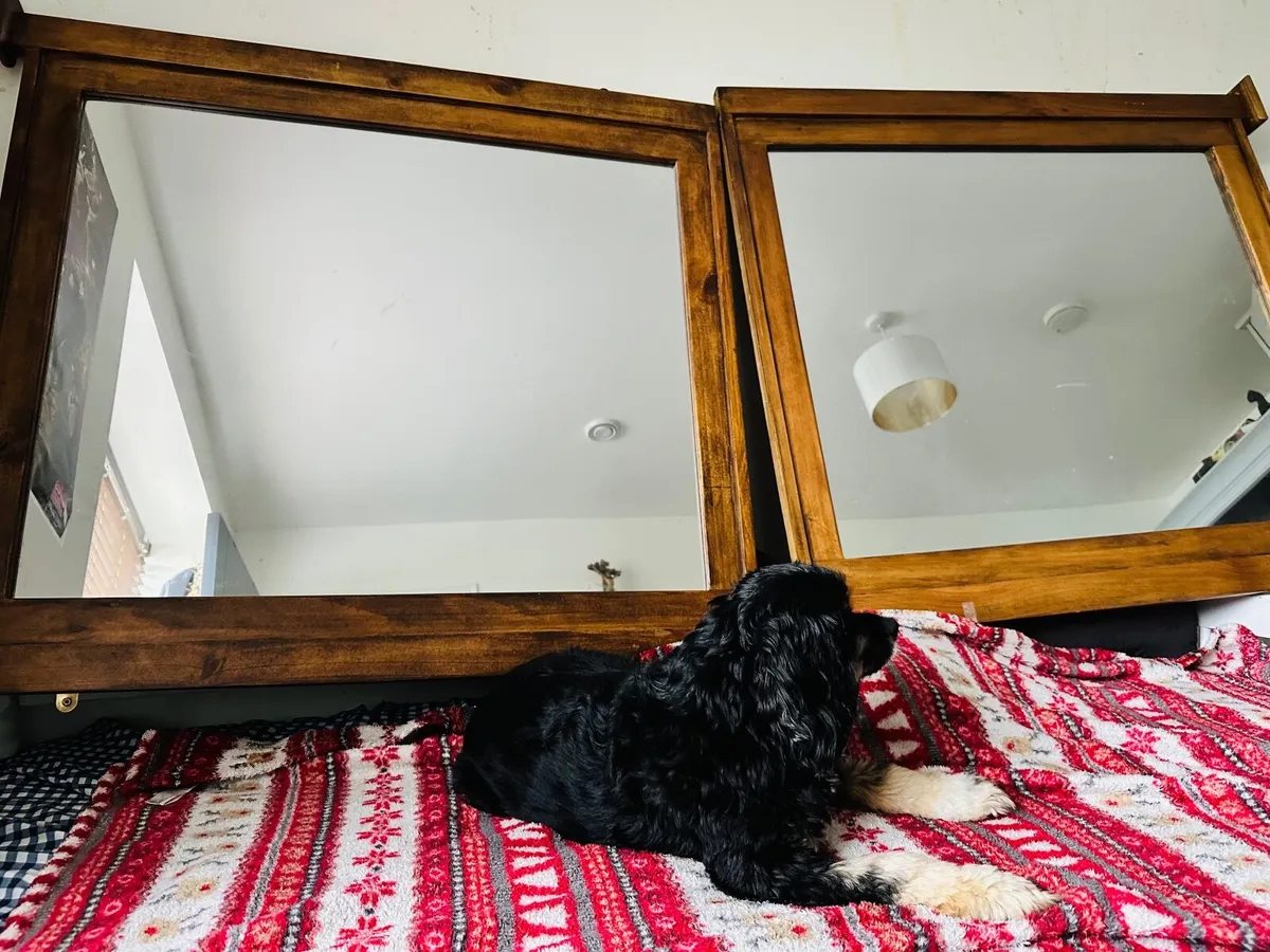 Two Large Solid Wood Mirrors € 120each or €200 - Image 3