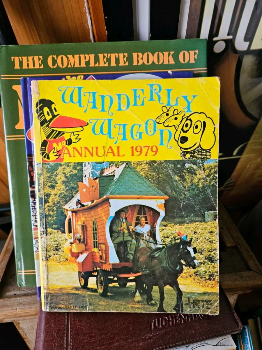 Vintage Wanderley Wagon Wagon 1979 - Image 1