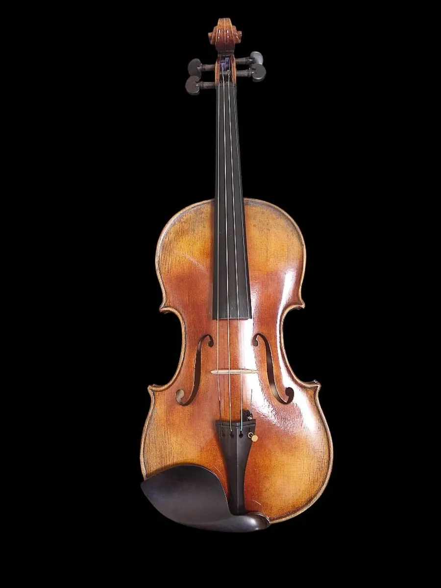 Adult Violin - Image 1