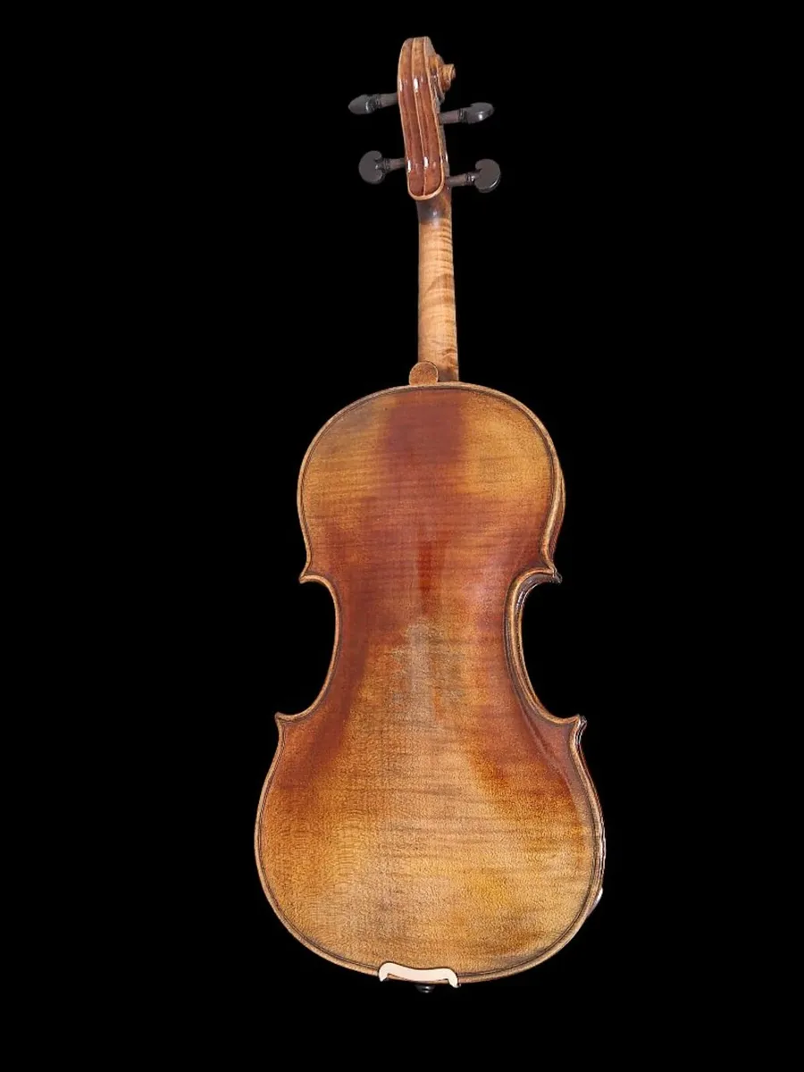 Adult Violin - Image 2