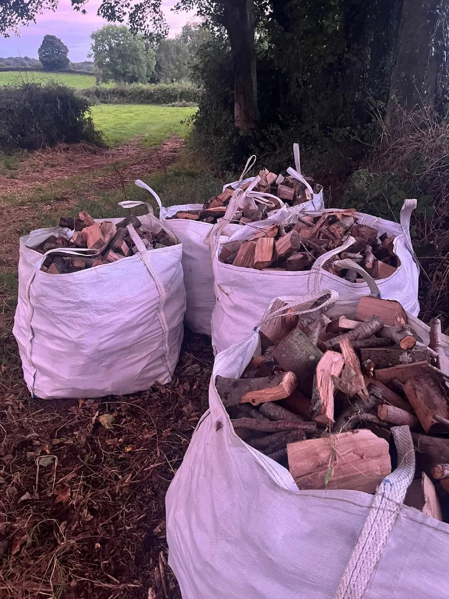 Firewood - Image 2
