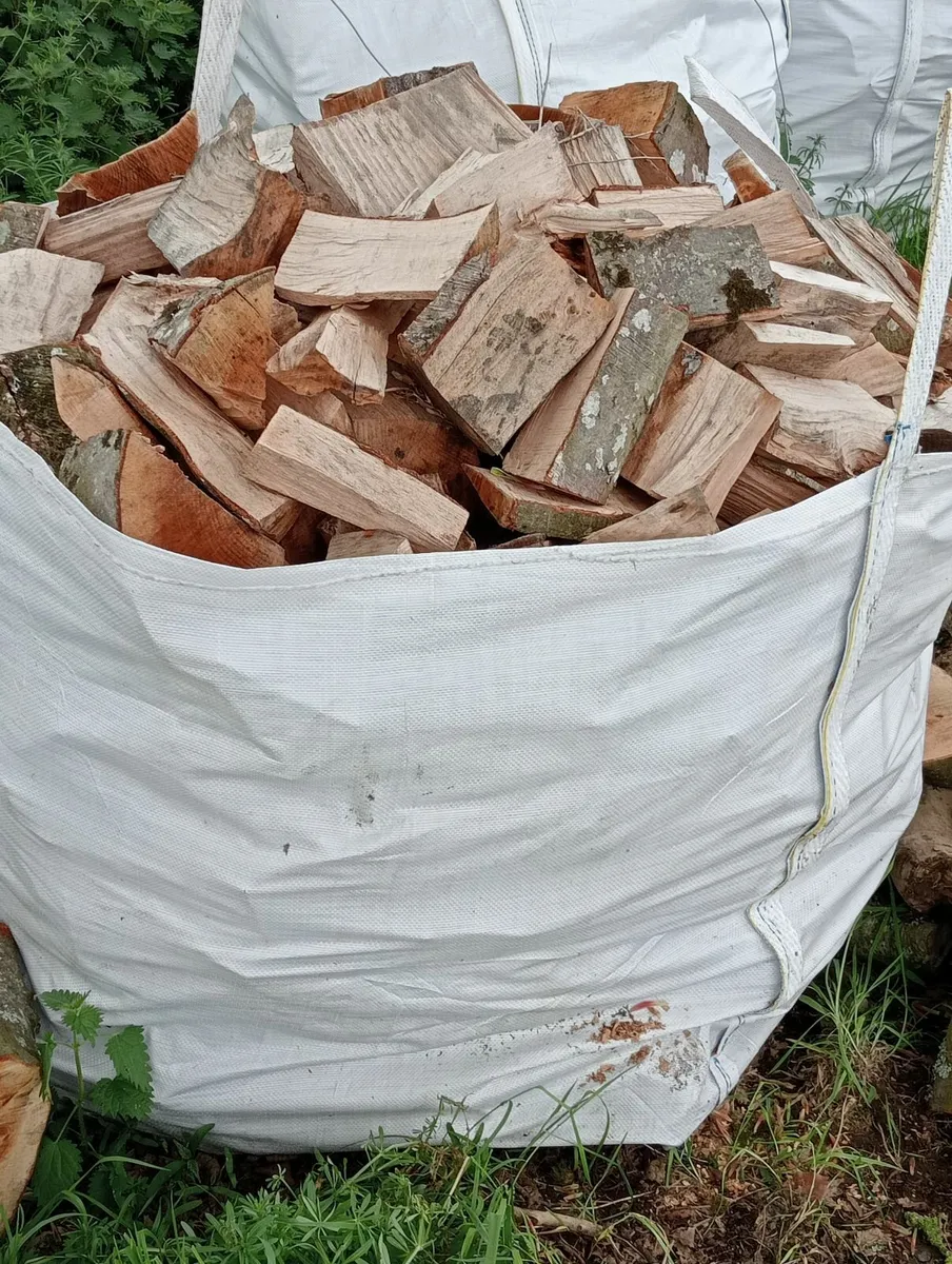 Firewood - Image 3