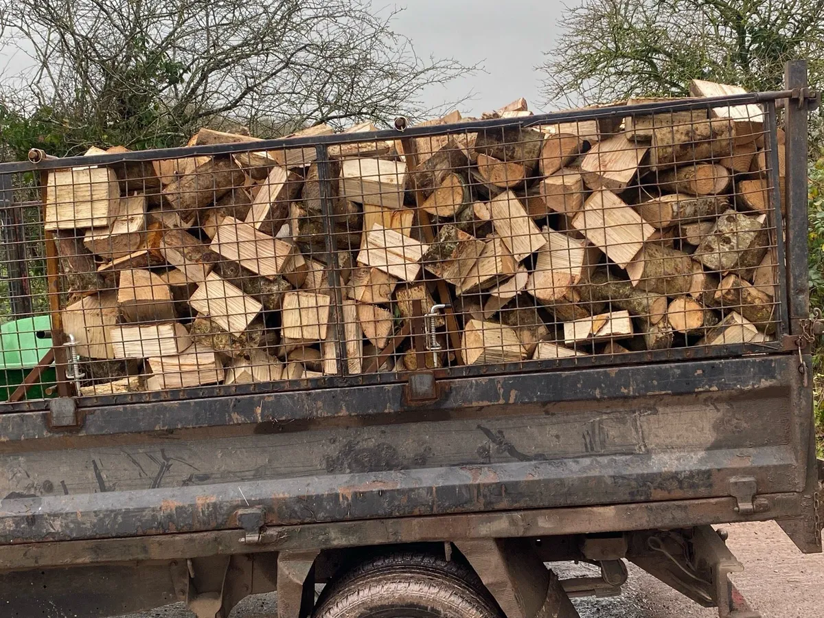 Firewood and coal - Image 4