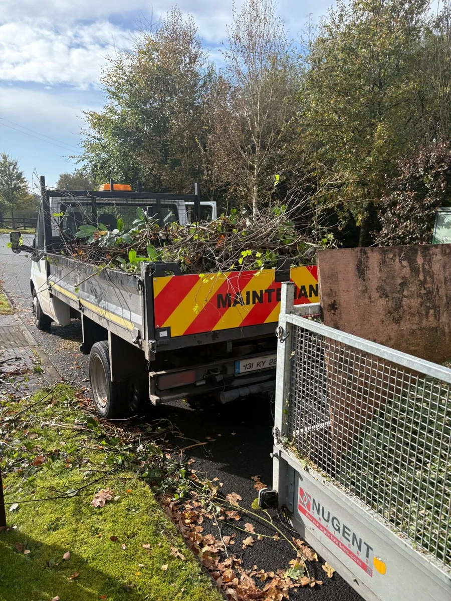 Hedge cutting and general maintenance - Image 1