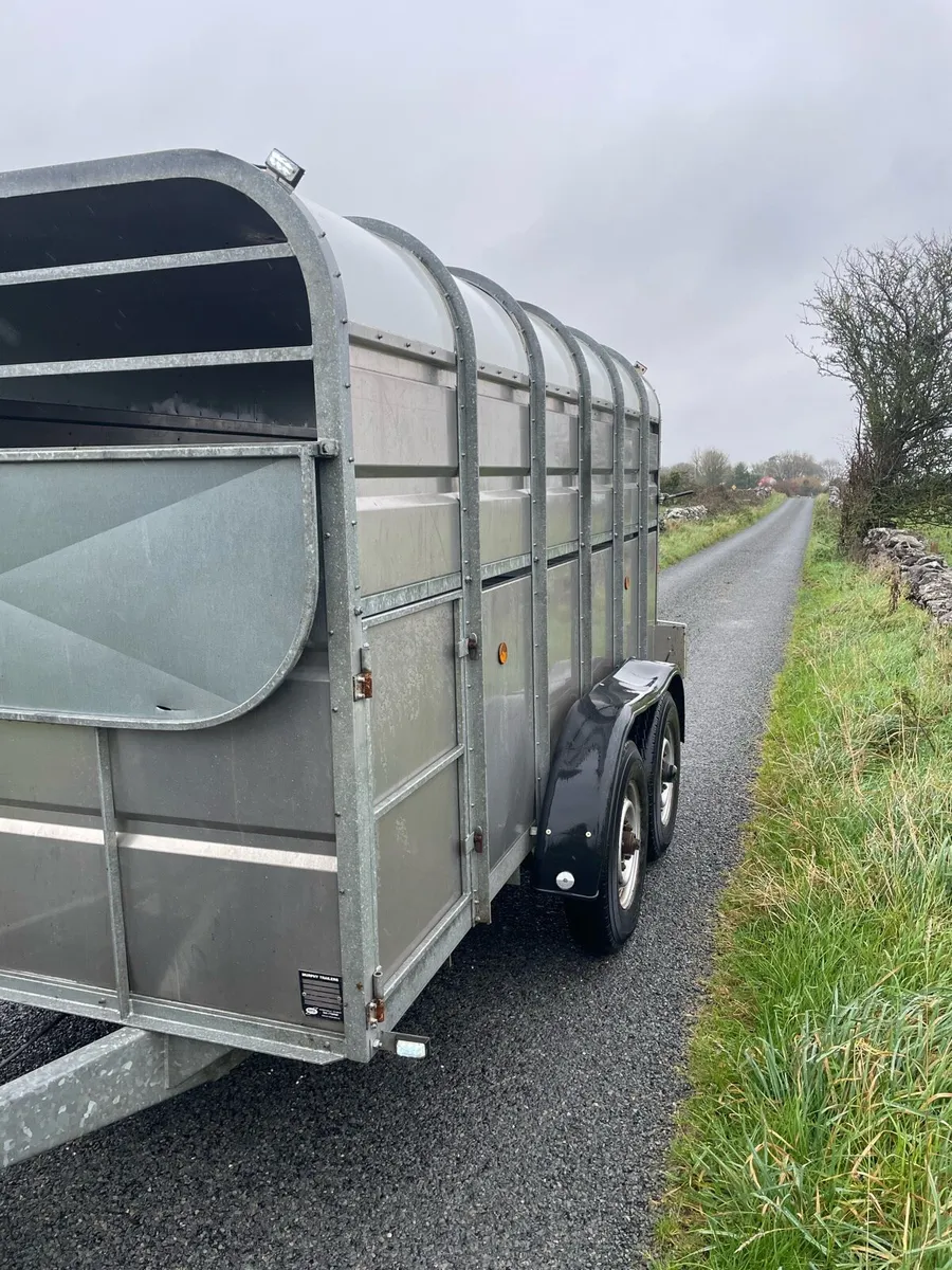 12x6 Murphy cattle trailer - Image 2