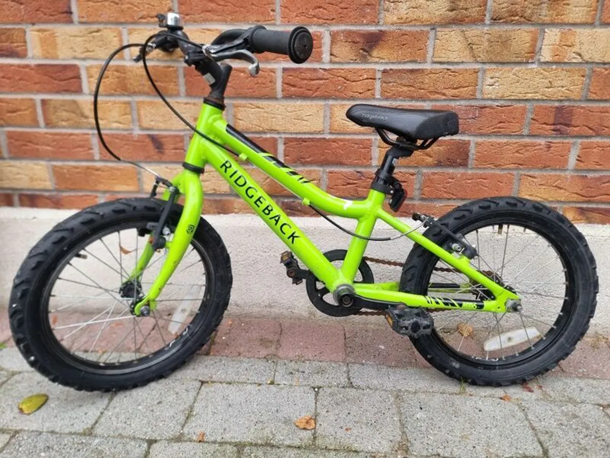 Boy's 20" bike
