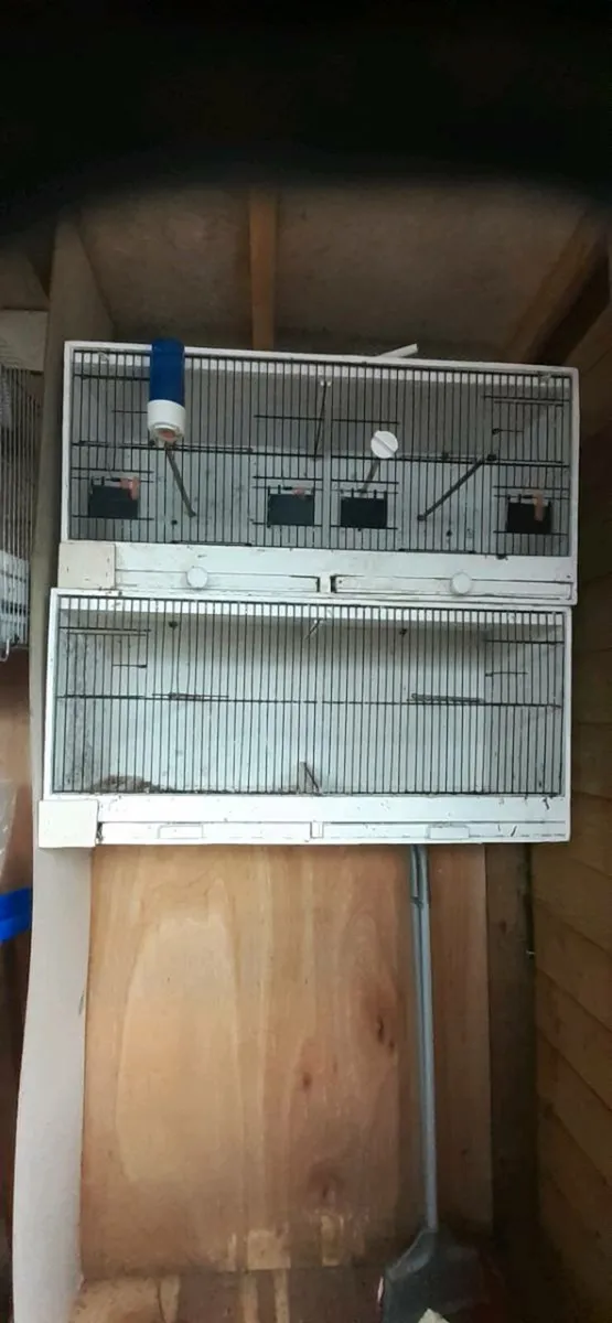 4 double bird breading cages - Image 2