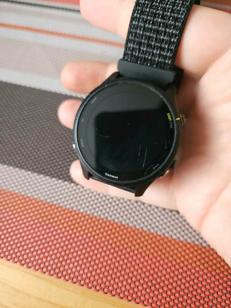 Garmin Forerunner 255 music - Image 2