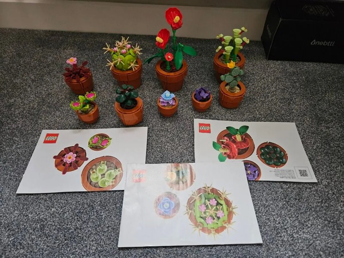 LEGO Botanicals Hibiscus 10372 + Tiny Plants 10329 + Succulents 10309 - Image 2