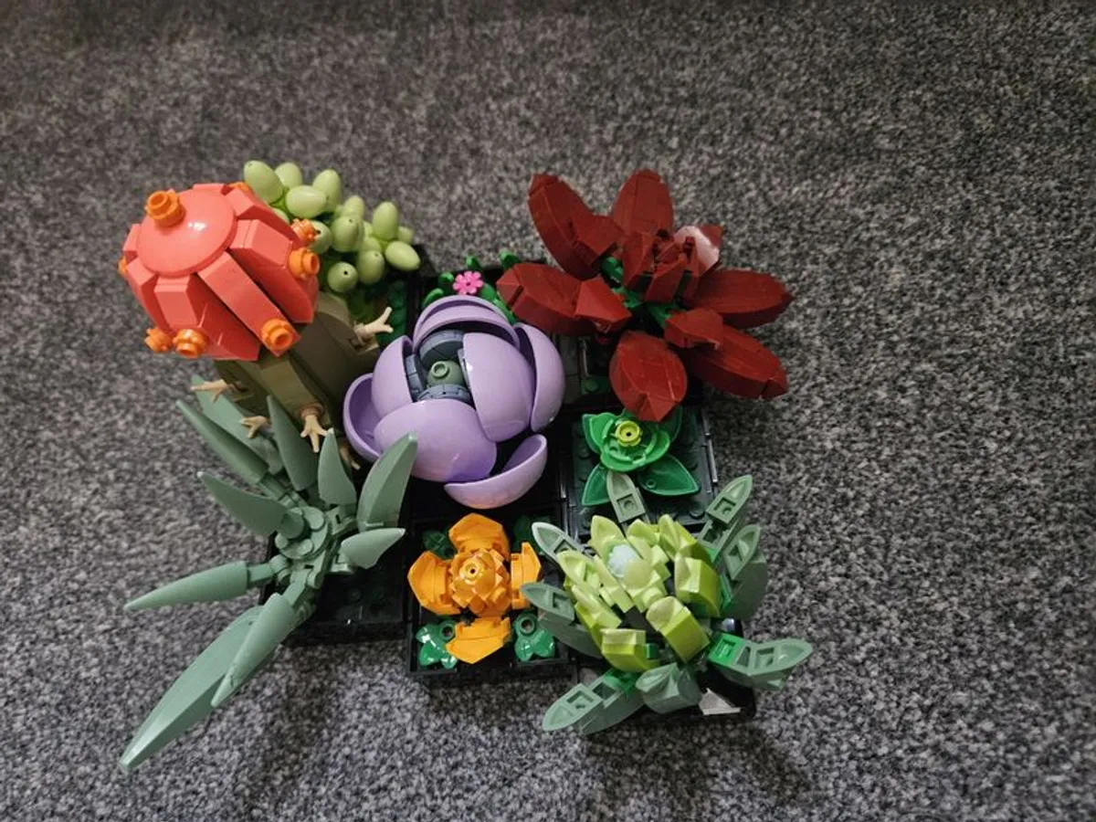 LEGO Botanicals Hibiscus 10372 + Tiny Plants 10329 + Succulents 10309 - Image 4