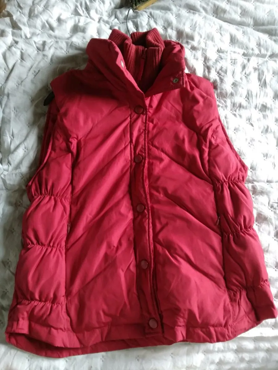 Ladies Gilet/Bodywarmer. New,Unworn.Size 12 - Image 1