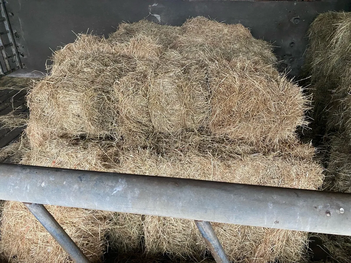 Hay & Haylage Bales for sale - Image 2