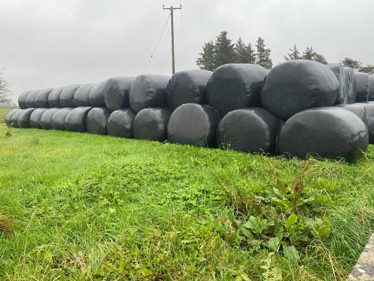 Hay & Haylage Bales for sale - Image 1