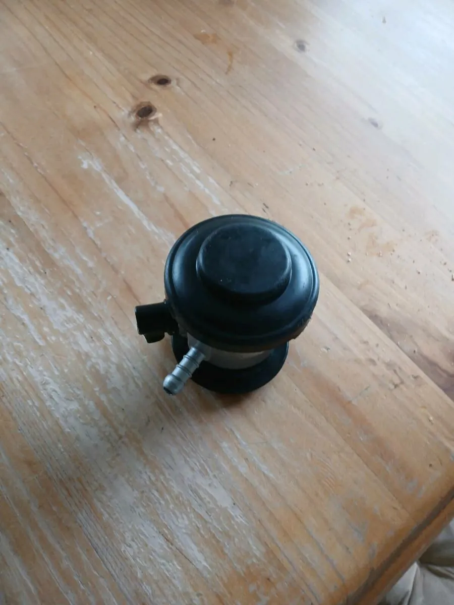 Low pressure gas regulator