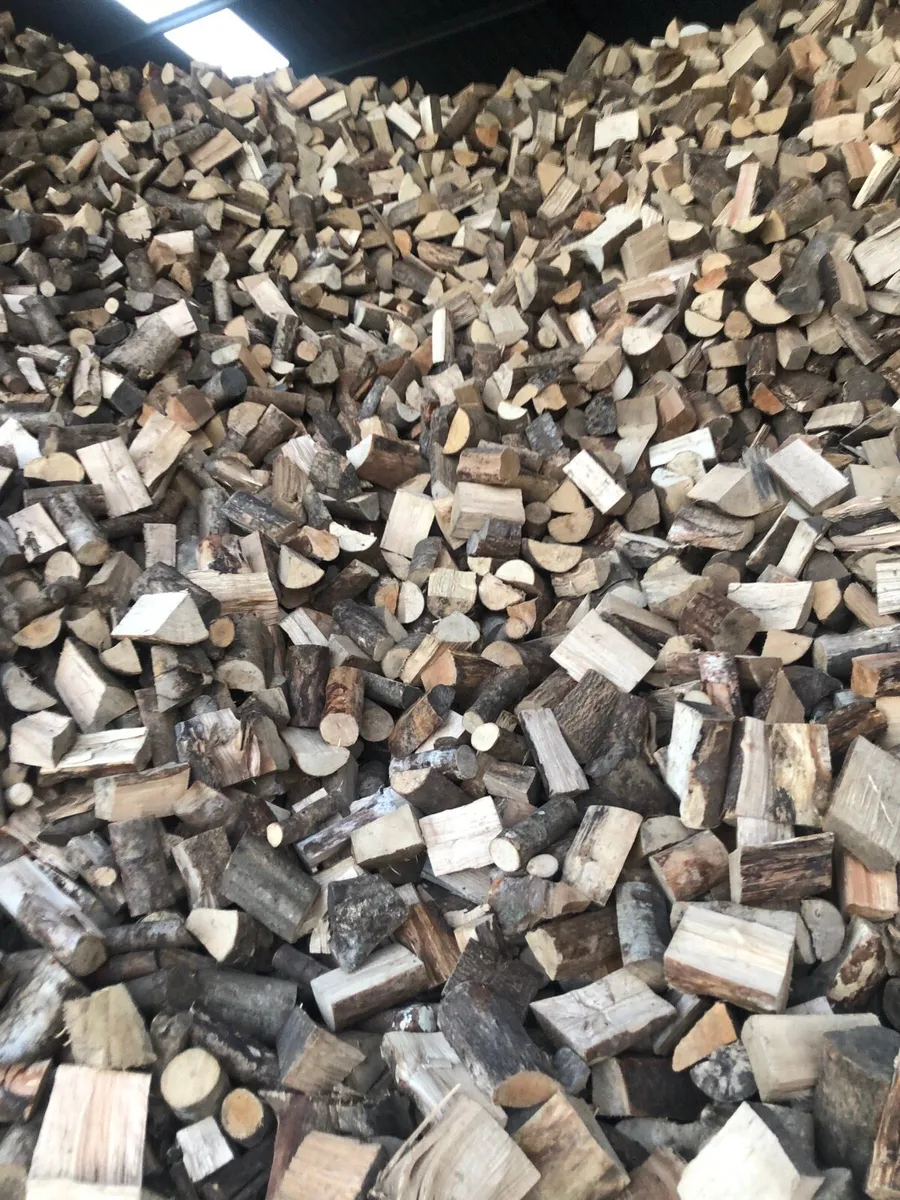 Hardwood firewood - Image 2
