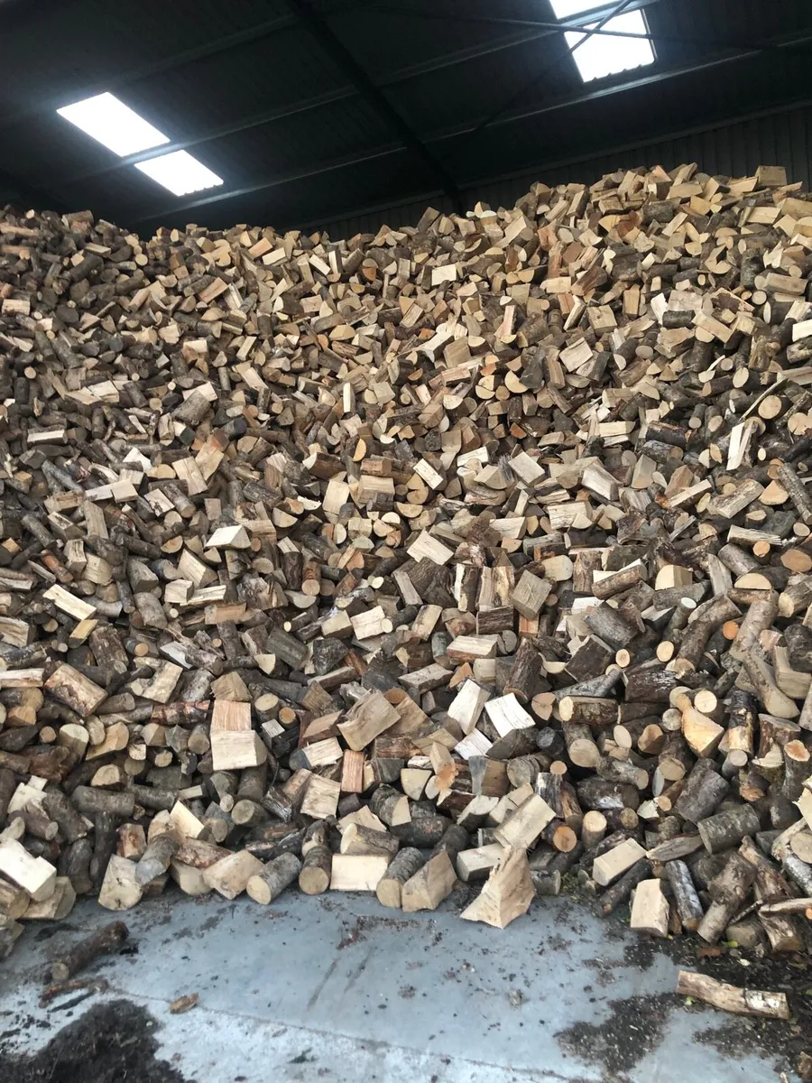 Hardwood firewood - Image 3