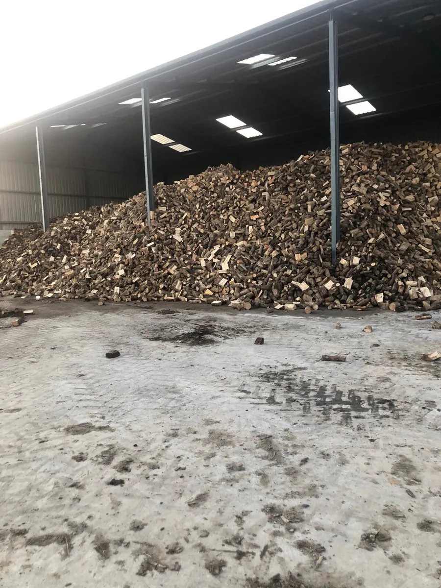 Hardwood firewood - Image 4