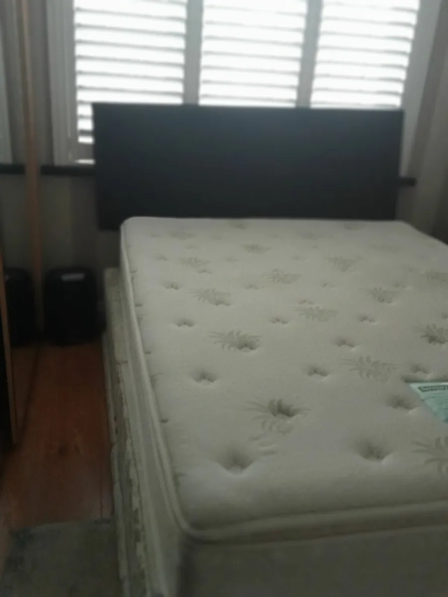 Free bed - Image 1
