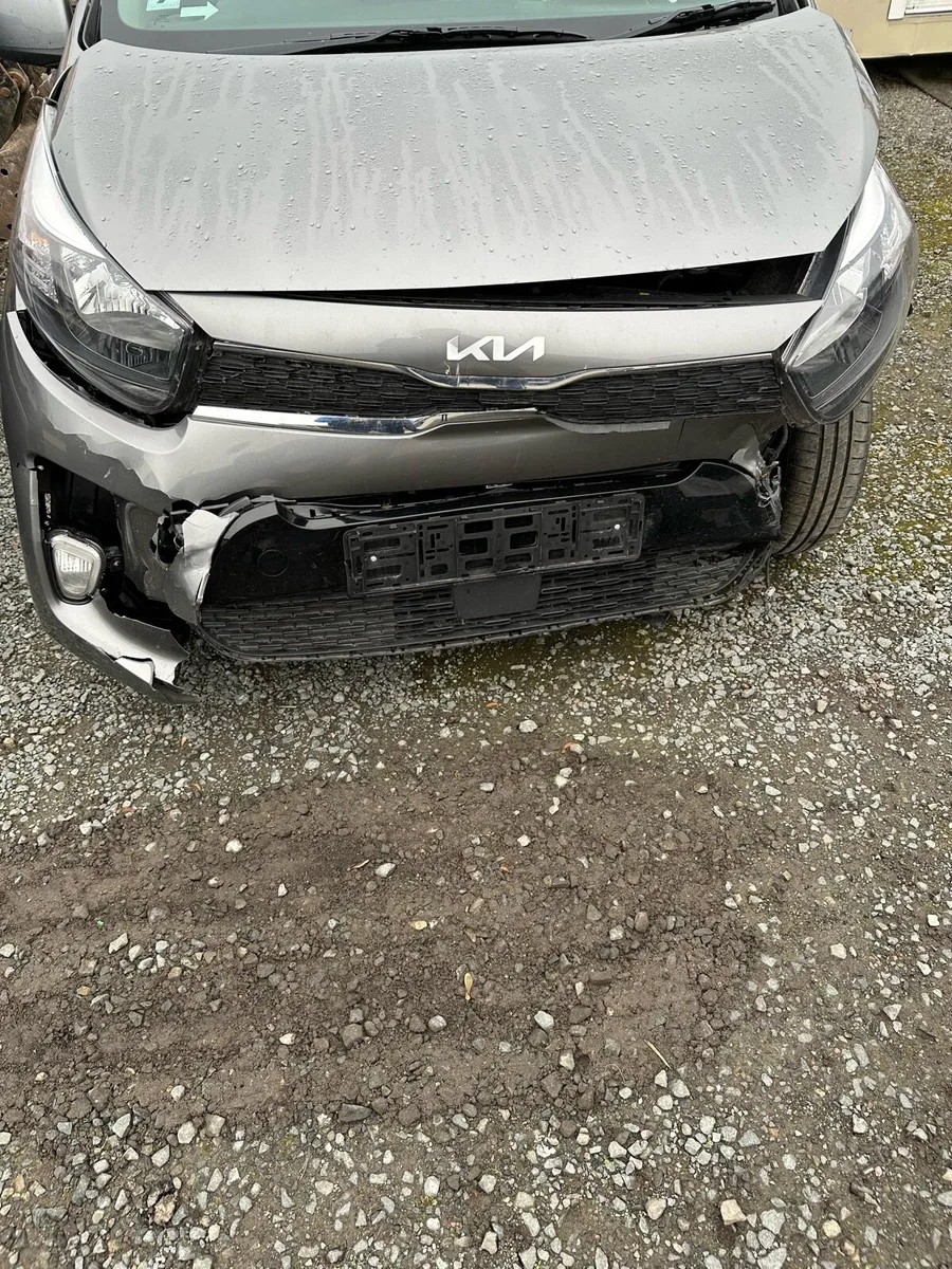 2024 Kia Picanto Automatic (No Texts Answered) - Image 1