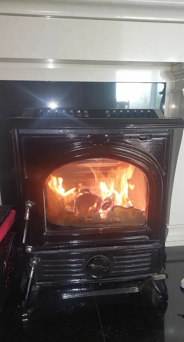 Stove - freestanding multifuel - Image 1