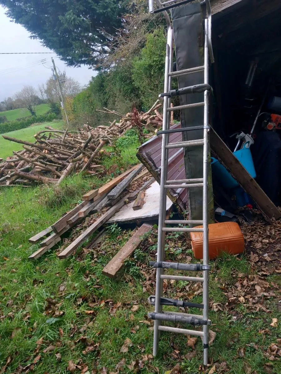 Ladders - Image 2
