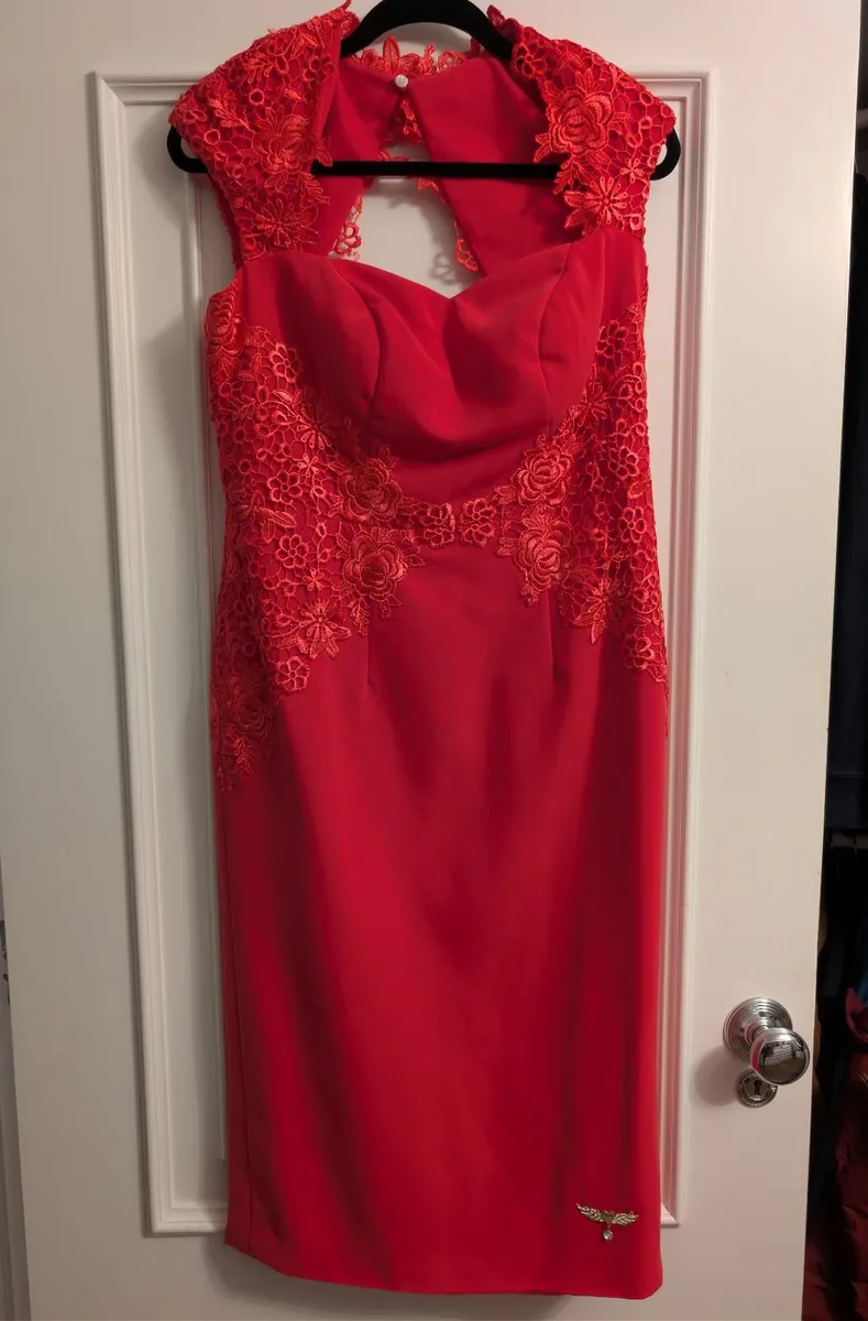 Phoenix_V pink dress - Image 1
