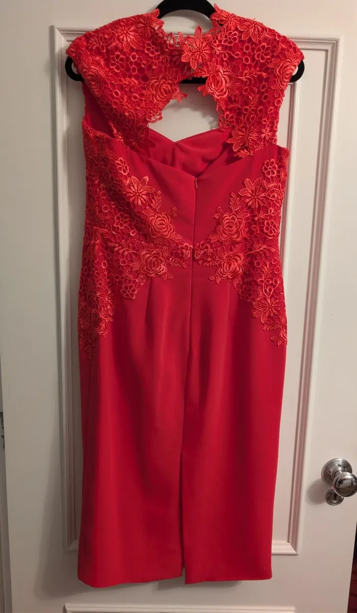 Phoenix_V pink dress - Image 2
