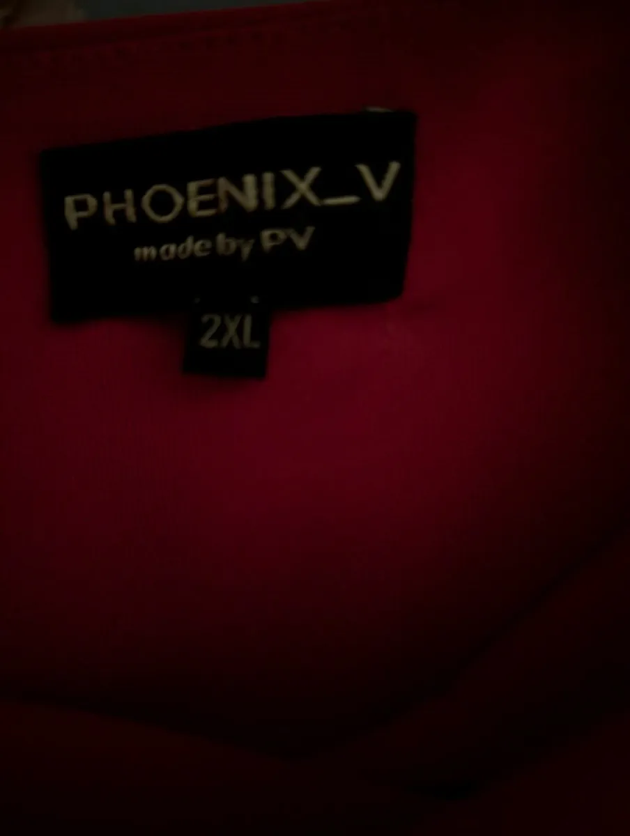 Phoenix_V pink dress - Image 3