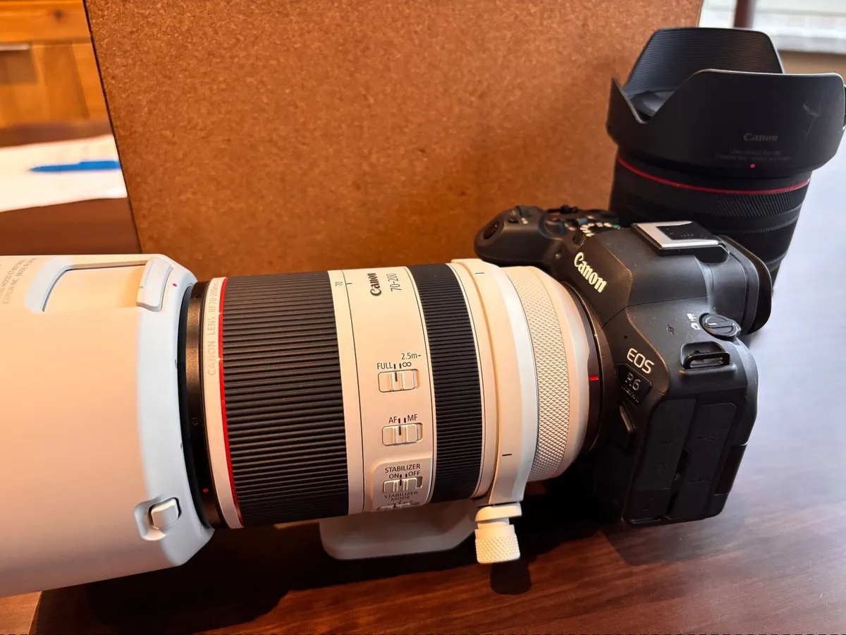 Canon R6 Mark 2 - Image 1