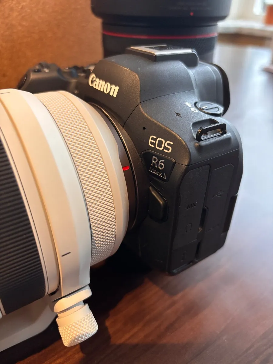 Canon R6 Mark 2 - Image 2
