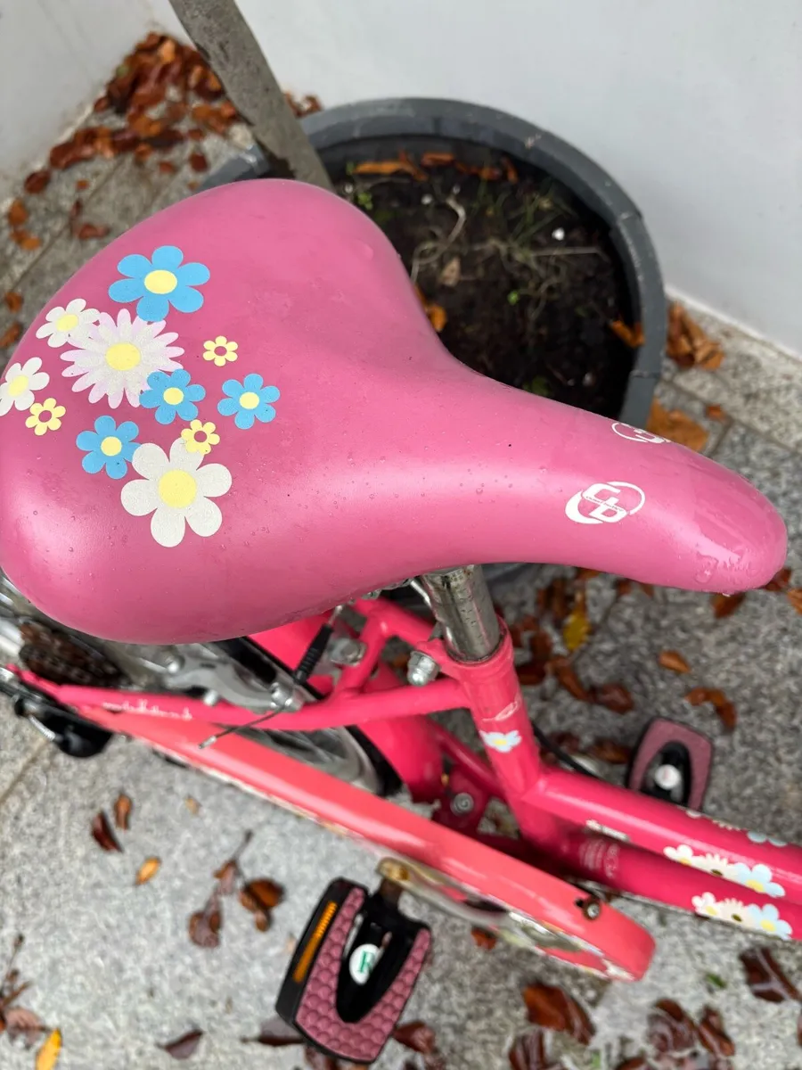 Bicycle - Image 4