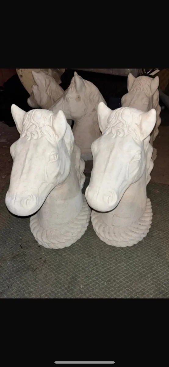 Horse heads - Image 3