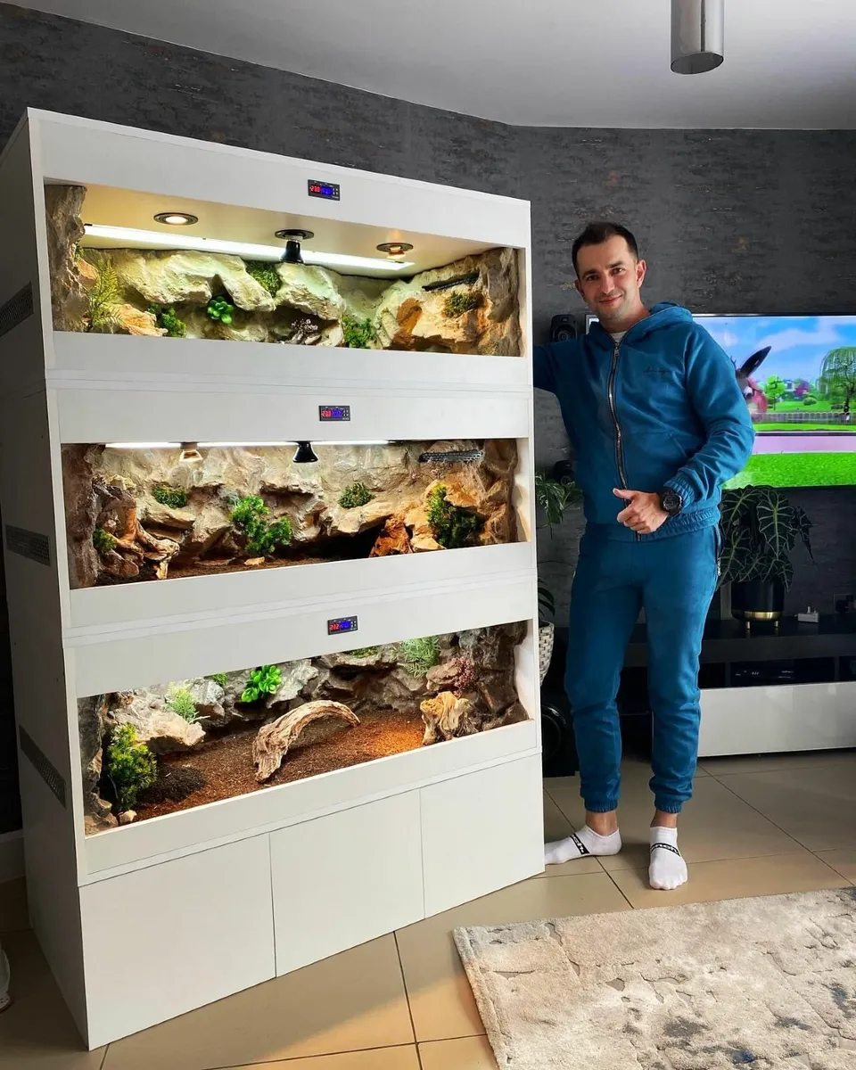 Custom Tank for gecko dragon chameleon snake FULL - Image 3