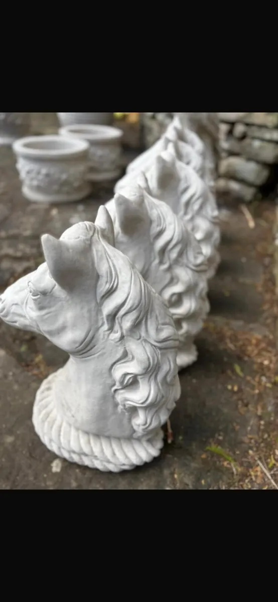 Horse heads - Image 4