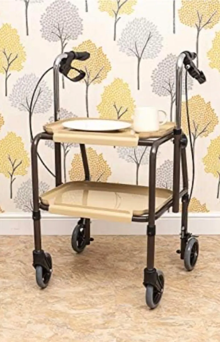 Indoor walking trolley - Image 2