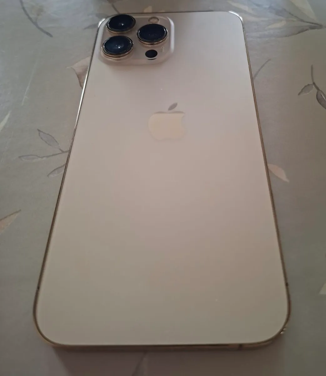 iPhone Pro Max 13 - Image 2