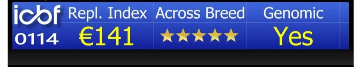 5 star BB COW - Image 1