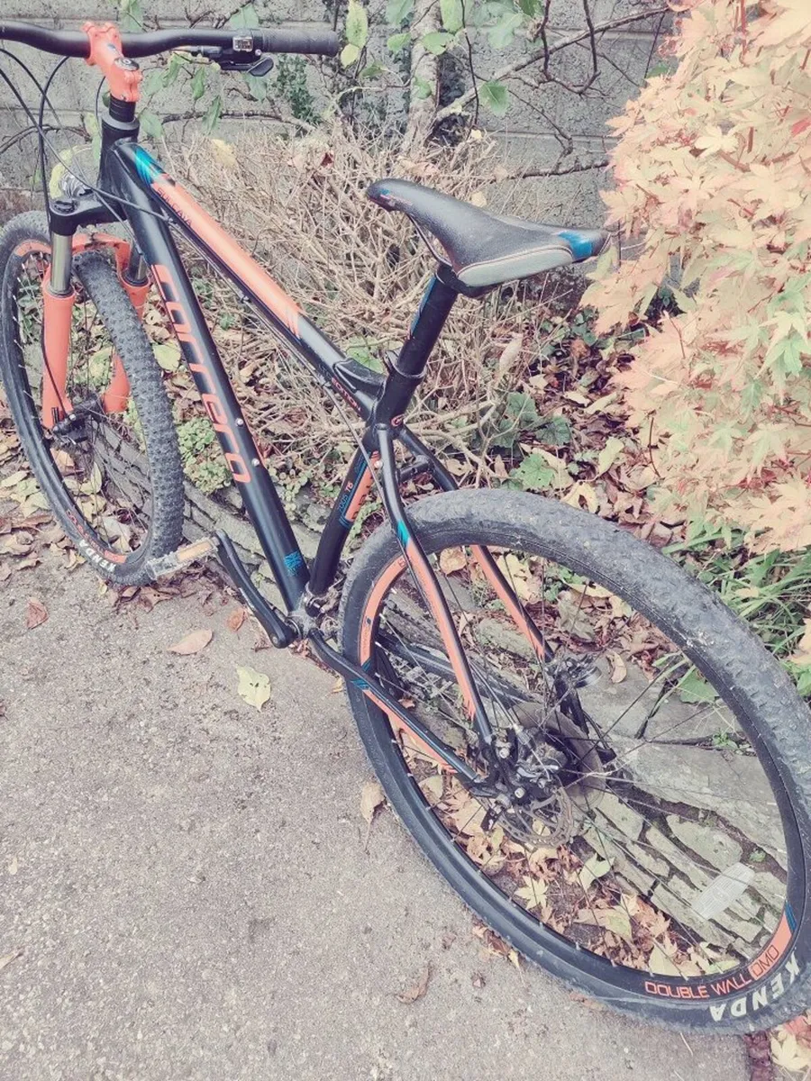 Carrera Mountain Bike - Image 2