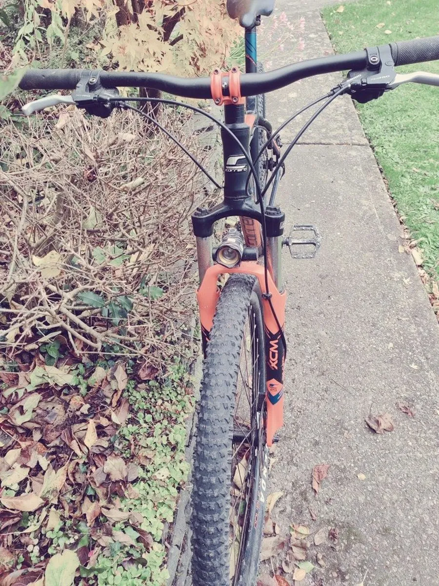 Carrera Mountain Bike - Image 3
