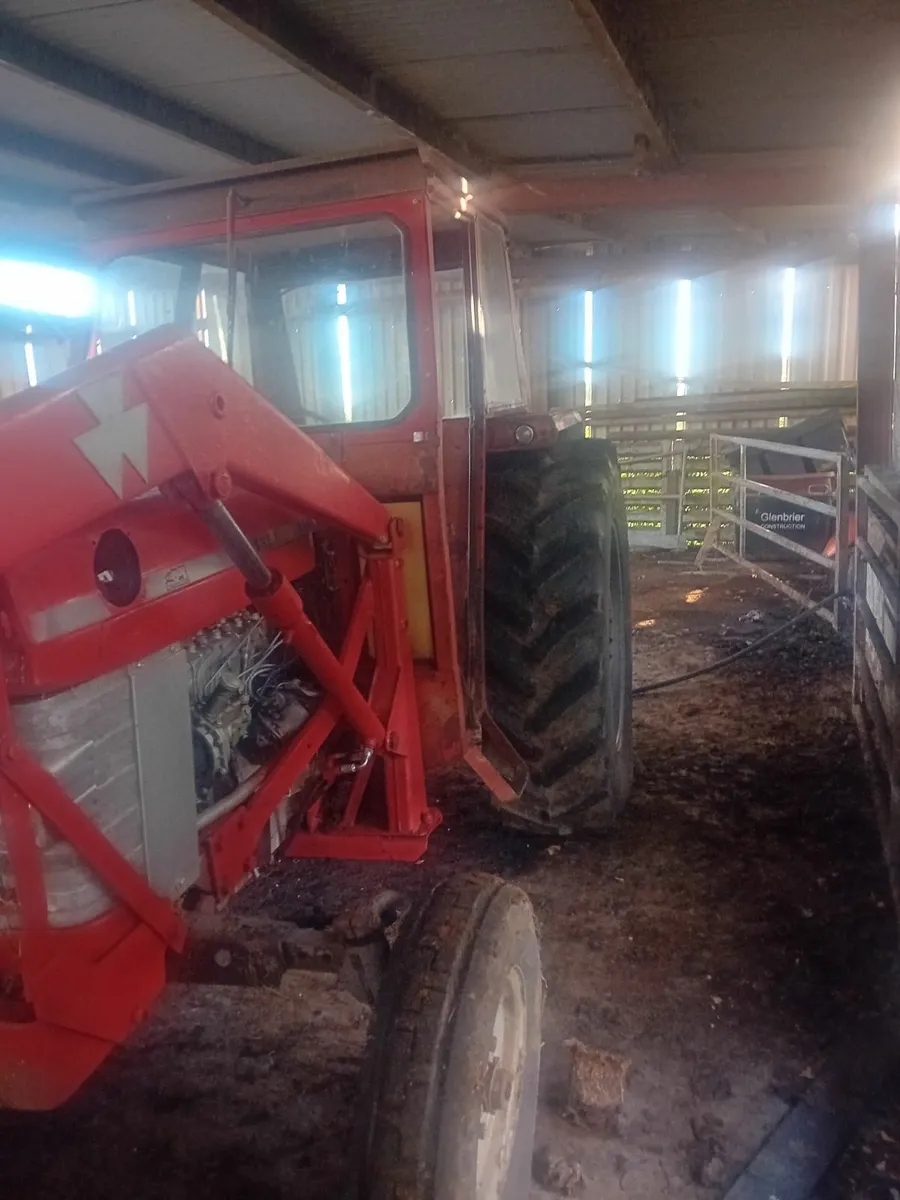 Massey Ferguson 185 with front loader - Image 1