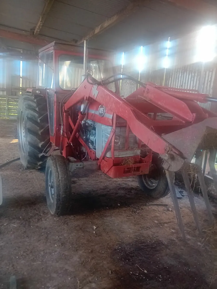 Massey Ferguson 185 with front loader - Image 2