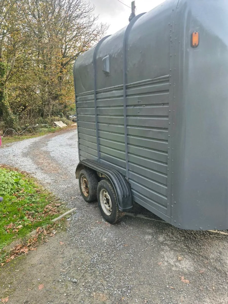 Horse box - Image 3