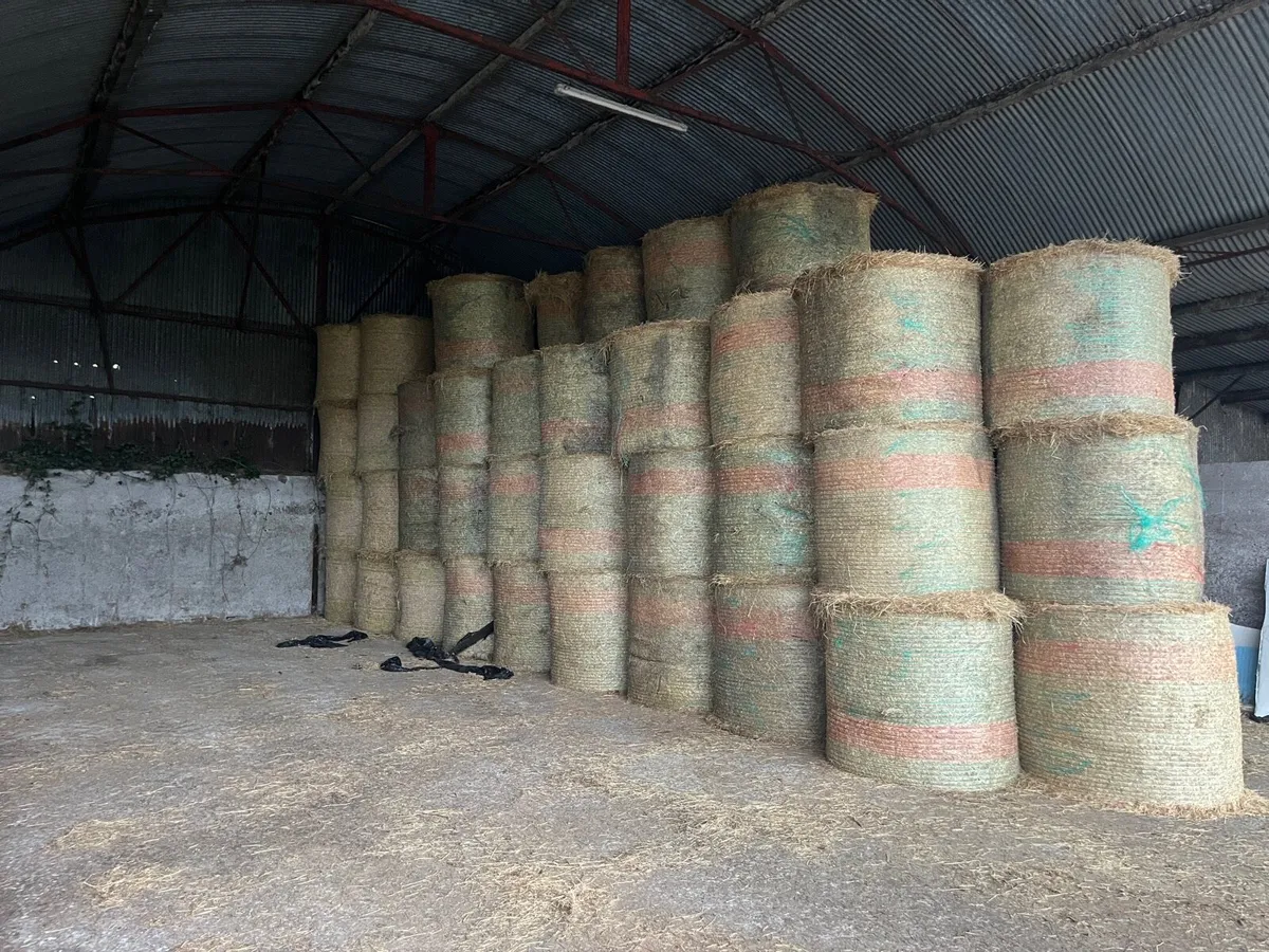 Hay - Image 1