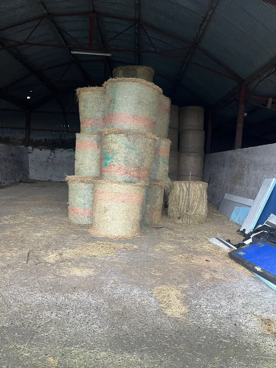 Hay - Image 2
