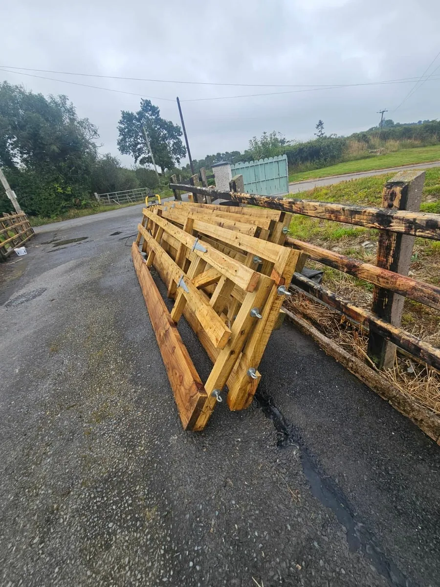Sheep housing equipment - Image 2