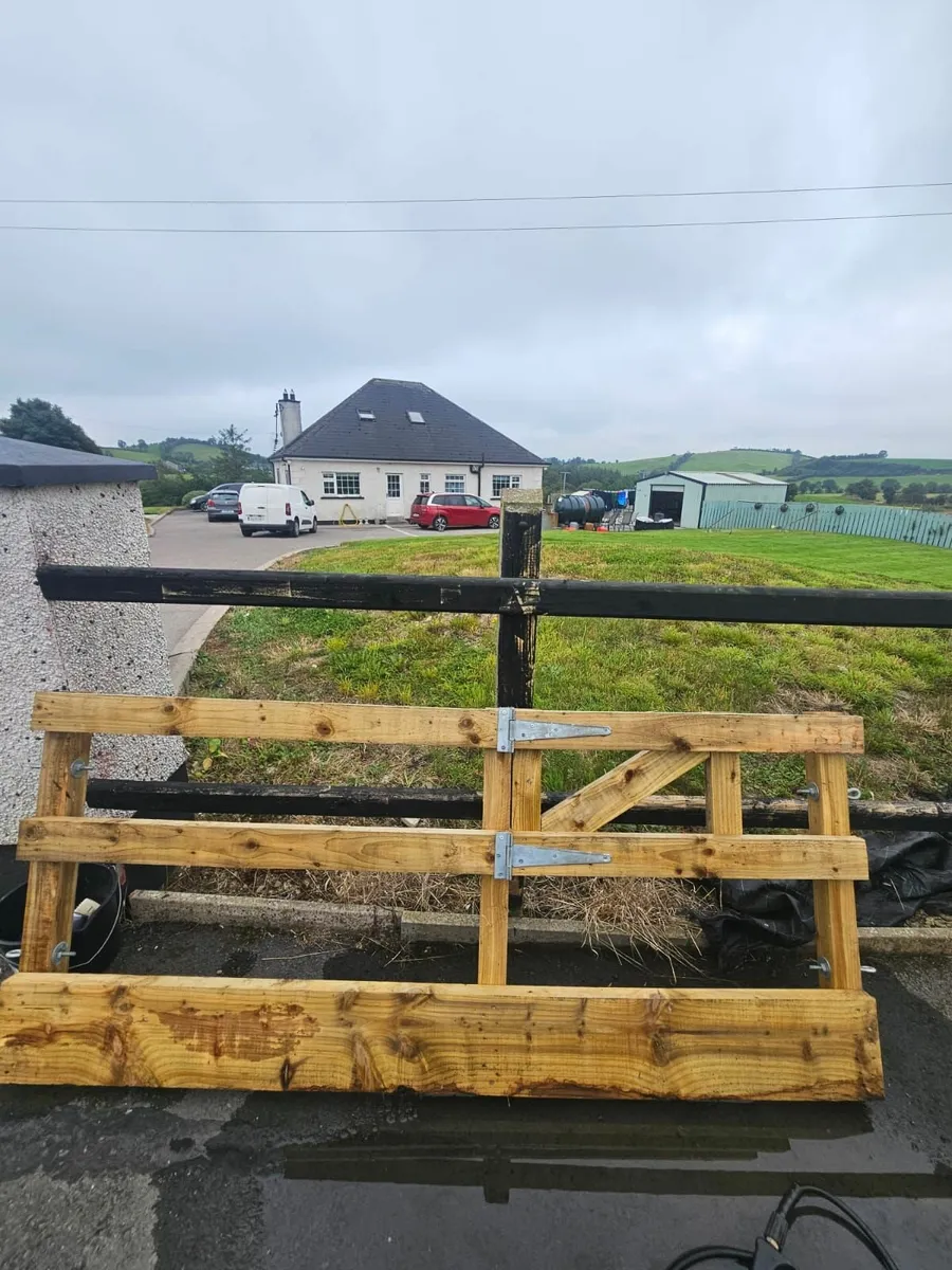 Sheep housing equipment - Image 3
