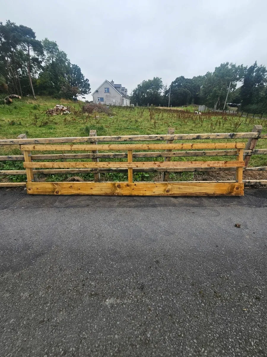 Sheep housing equipment - Image 4