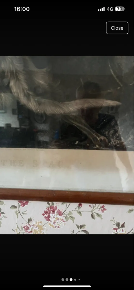Antique prints - Image 3