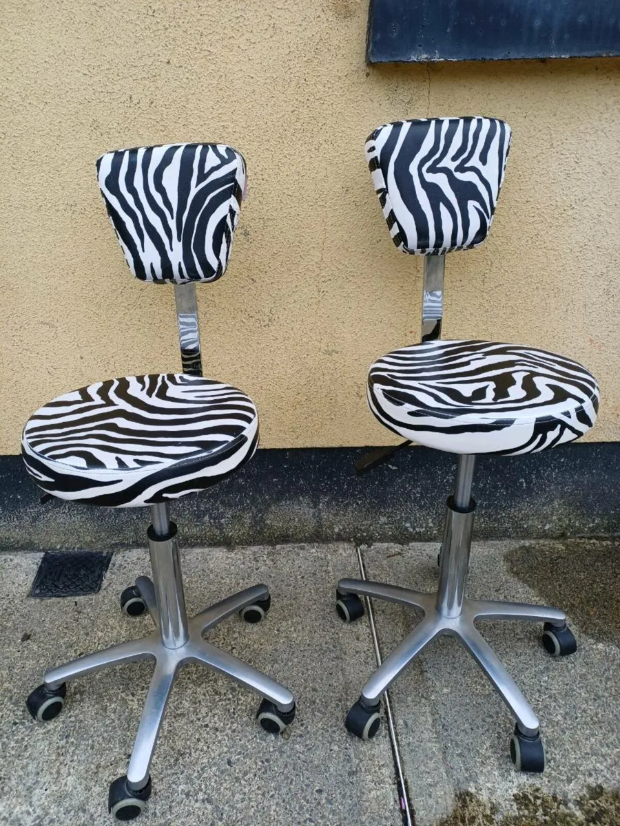 Orlando Professional Adjustable Salon Chairs - Image 2